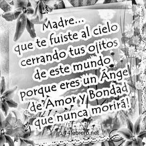 Meet your Posher, Nora